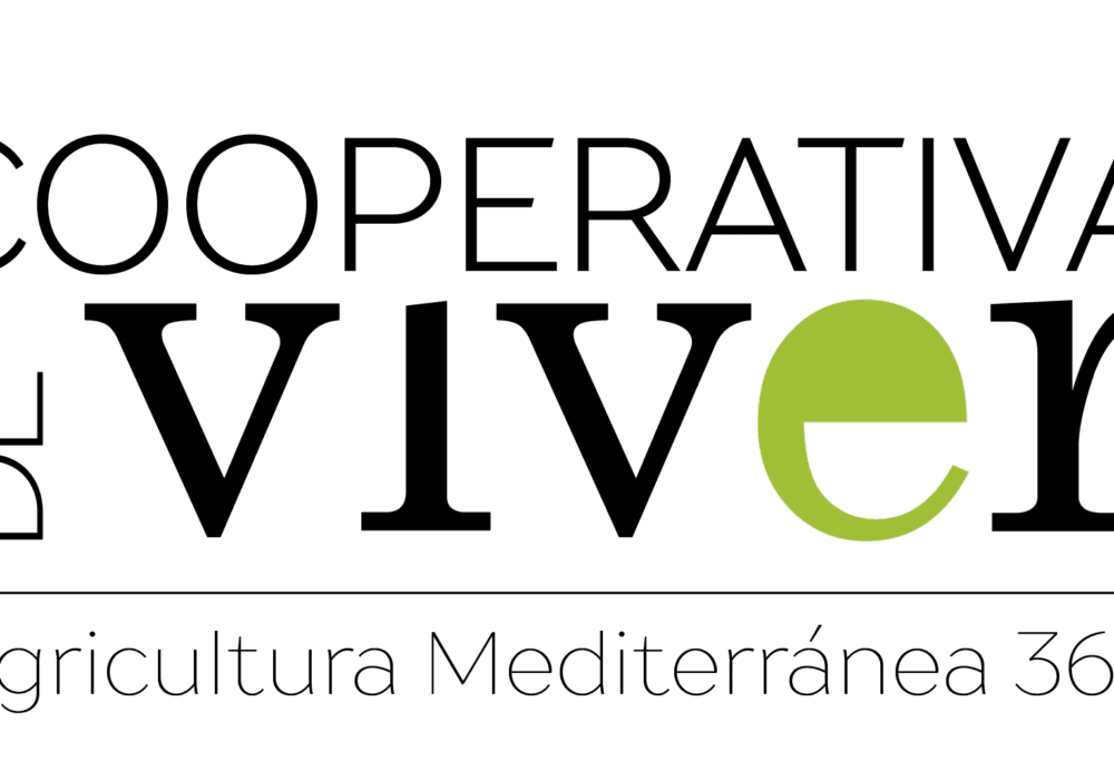 Asamblea General Extraordinaria. Viver (Castellón). 04/12/2025.